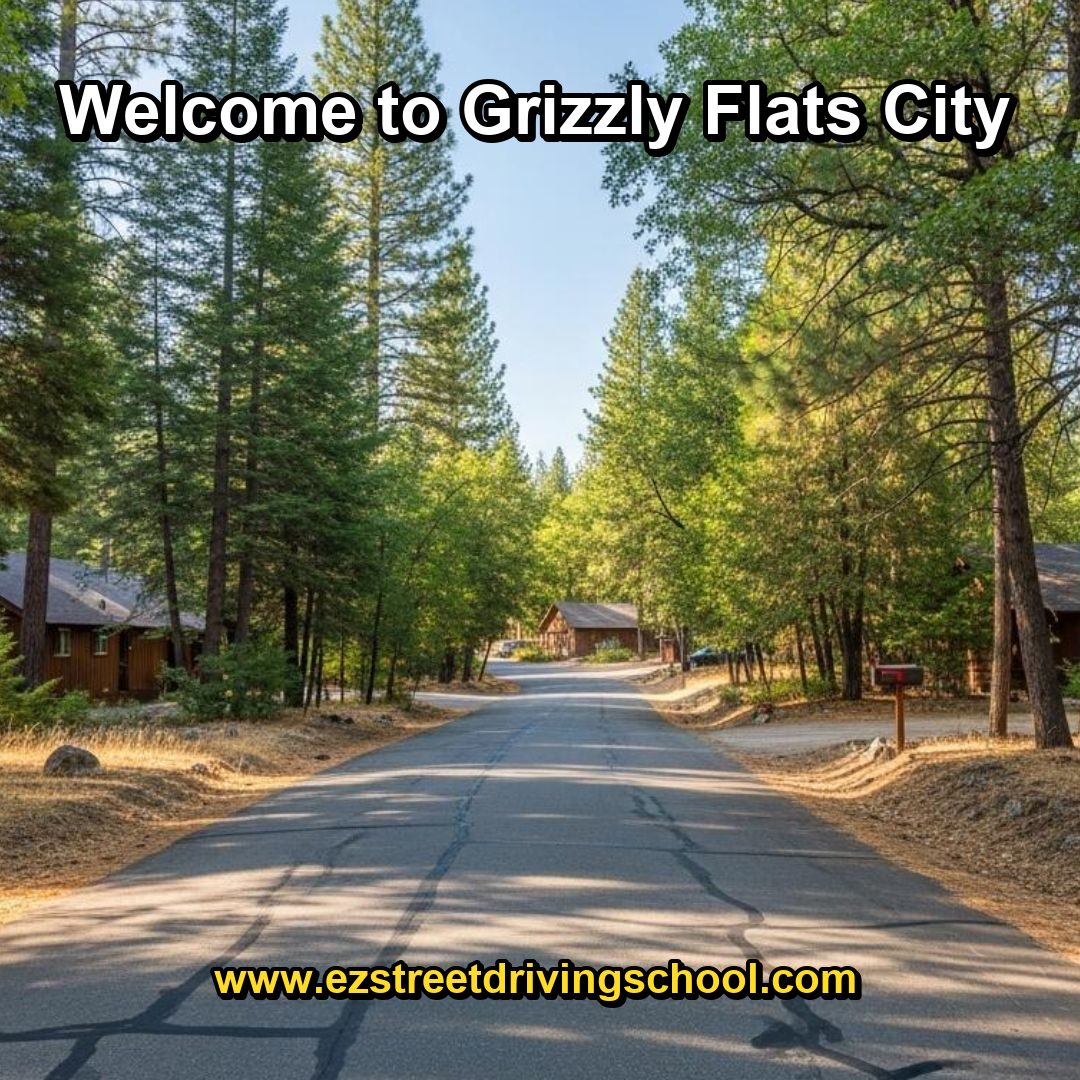 Driving Lessons in Grizzly Flats